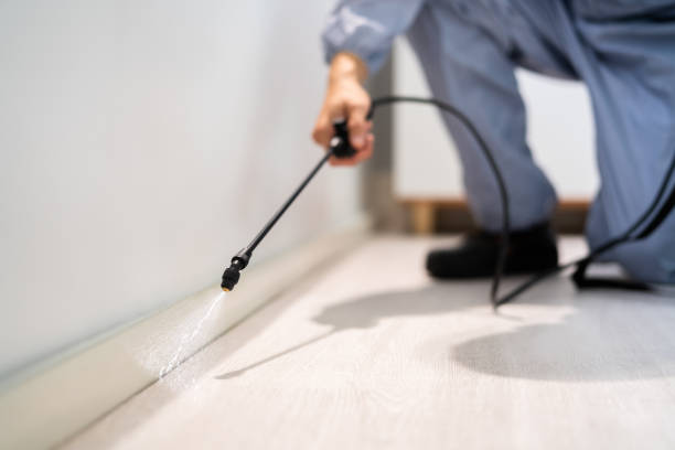 Licensed Fumigation Services service in Lucas County County, OH - Nex Pest Control